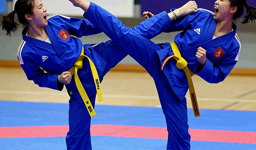 Blank Records: Where Vietnamese Martial Arts Loses on Data