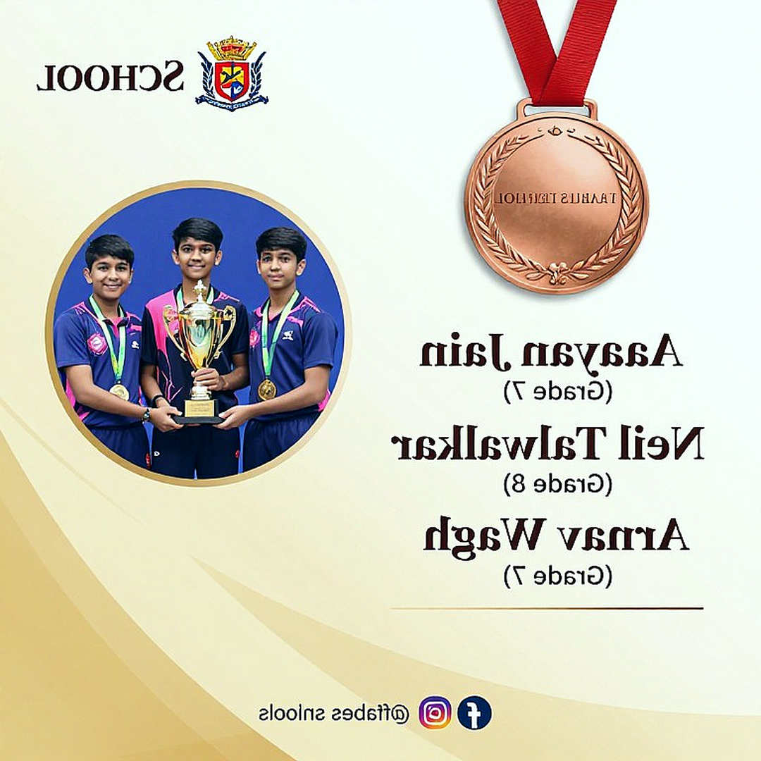 Chín tầng địa chất của bóng bàn chuyên nghiệp: Cuộc khảo cổ giữa vùng dữ liệu trống